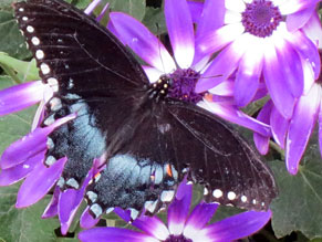 Kat's Photography Sample 2